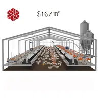 Modern Prefab Steel Structure Chicken Poultry Farming Design House