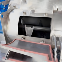Mélangeur industriel LDH-0.3 en acier inoxydable avec moteur et pompe à courant continu pour applications de mélange de poudres, granulés et matériaux chimiques