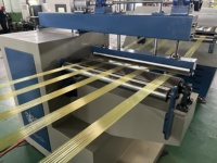 Ligne d'extrusion de ficelle en raphia PP pour la fabrication de ficelle pour presse à balles et de ficelle d'emballage