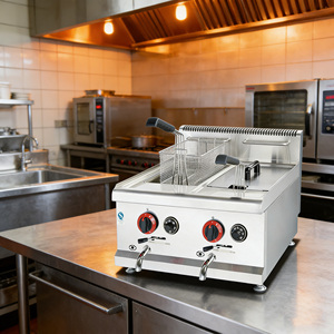 <span class=keywords><strong>Friteuse</strong></span> professionnelle en acier inoxydable au <span class=keywords><strong>gaz</strong></span> naturel avec une capacité de <span class=keywords><strong>10</strong></span> <span class=keywords><strong>litres</strong></span> - Product Image 4