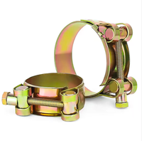 Tengri Stainless Steel Coil Wire Clamp Latch Fastener for Industrial