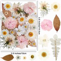 Bunga Kering Campuran Beige Pink Vintage untuk Resin Epoksi, Pembuatan Casing Ponsel, Kerajinan DIY