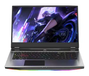 Spesifikasi Tinggi Laptop 17.3 Inci Intel Core I7 I9 Laptop Gaming dengan GTX1650 4GB Kartu Grafis Diskrit untuk Gaming