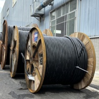 Elektro-Kupfer-Leiterkabel 0,6-1.1 kV 3*150+1*70 Niederspannung nicht-verteilte pvc-Schiene isoliertes Elektro-Kabelhersteller
