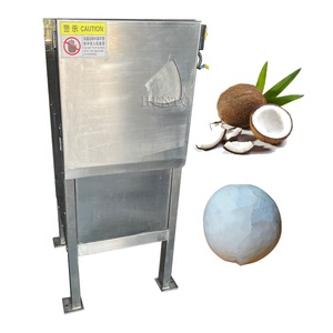 Máquina Eléctrica para Pelar Cocos Maduros / Raspador de Pulpa de <span class=keywords><strong>Coco</strong></span> / Máquina Peladora de Pulpa de <span class=keywords><strong>Coco</strong></span> - Product Image 2