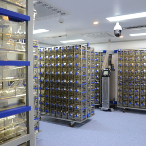 Laboratuvar Ivc fare kafesi laboratuvar sistemi ekipmanları Ivc özelleştirmek laboratuvar yetiştiriciliği kemirgen hayvan için bireysel havalandırma kafes - Product Image 1