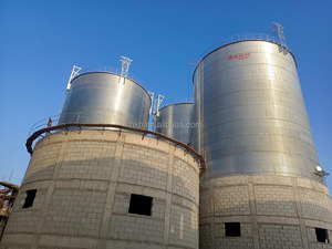 100-20000 tấn hạt Silo <span class=keywords><strong>bin</strong></span> <span class=keywords><strong>Storage</strong></span> silos cho thức ăn chăn nuôi - Product Image 3