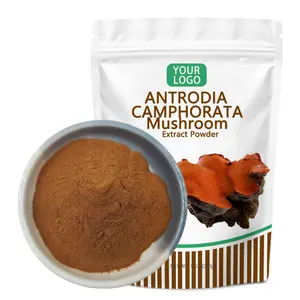 High Quality Best Price Antrodia Camphorata Powder Organic Antrodia Camphorata Extract
