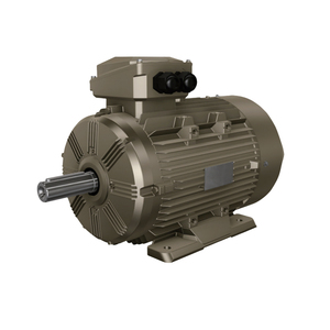 Motor de Bajo Voltaje y Alta Potencia WO.LONG IE3 IE4, Eficiencia Premium, Cuerpo de Hierro Fundido, Aplicación Industrial de Uso Pesado, IP55 WE3 Ultra - Product Image 1