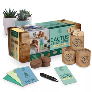 Kit per la coltivazione di piante da interno in miniatura per regali donna <span class=keywords><strong>Cactus</strong></span> da giardino e succulento - Product Image 1