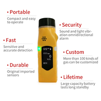 Yaoan-P100 Mobile Continually Measuring High Accuracy Gas Lab test Gas Concentration Instrument