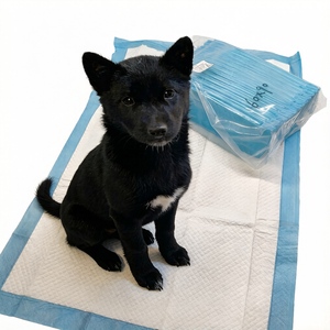 Pañales Absorbentes Desechables al por Mayor para Entrenamiento de Cachorros, Almohadillas para Orina de Perro con Función Antifugas, Hechas de Algodón, Suministros para Mascotas - Product Image 1