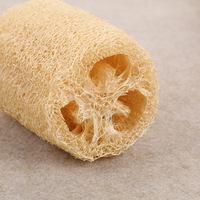 Éponge exfoliante pour la douche, éponge corporelle avec brosse de massage pour la peau, entièrement naturelle, élimination des odeurs et déshumidification, 10 cm