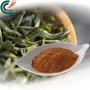 厂家绿茶提取物粉供应天然绿茶提取物95%