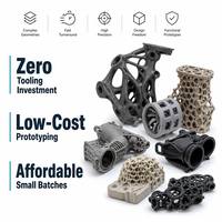 Servicio de Impresión 3D en Pequeños Lotes a Precios Accesibles - Sin Cantidad Mínima de Pedido, Producción Rentable para Startups e Innovación de Productos