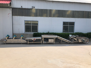 Linea di Lavaggio e Confezionamento Automatica <span class=keywords><strong>Pepino</strong></span> per Mercati di Prodotti Freschi - Product Image 5