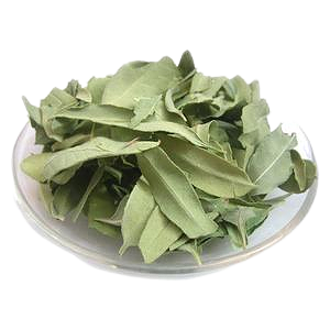 Hersteller Geschmeidiges <span class=keywords><strong>Dogbane</strong></span>-Blattex trakt/Apocynum Venetum-Extrakt pulver 10:1 - Product Image 2