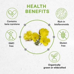 Экстракт листьев мультивита (<span class=keywords><strong>Verbascum</strong></span> <span class=keywords><strong>thapsus</strong></span>) в порошке, натуральный, 4:1-20:1, оптовая поставка с завода - Product Image 4