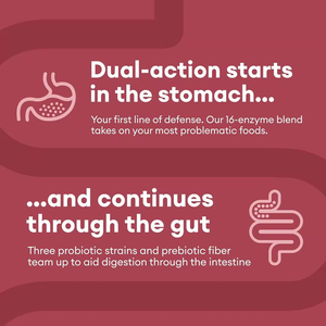 OEM 소화 효소 보충 건강 프로바이오틱스 장 건강을 지원하는 프리 바이오 틱스 캡슐 - Product Image 5