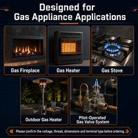 Générateur thermopile à gaz en cuivre 750mV, capteur de flamme pilote pour pièces de chauffage d'appareils électroménagers, certifié CE, pour réparation de cheminées et de fours