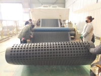 Tapis de drainage HDPE 20mm 30mm bord alvéolé étanche à l'eau Geonet Roadbed Garden Application Geocomposite Plastic Draining Board