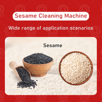 HN QDMECH Machine de séchage de nettoyage de grain de sésame industrielle et commerciale Machine de trempage et de lavage Machine de séchage de grain