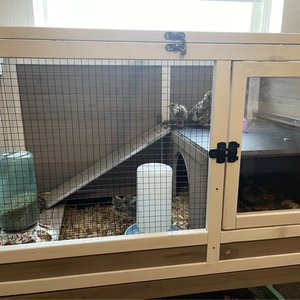 ที่อยู่อาศัยสัตว์เลี้ยงขนาดเล็กทำจากไม้ธรรมชาติป้องกันการกัดแทะ - บ้านสองชั้นสำหรับใช้ในร่มพร้อมทางลาดแบบถอดได้ ถาดลวดตาข่ายแบบดึงออกได้ - Product Image 5