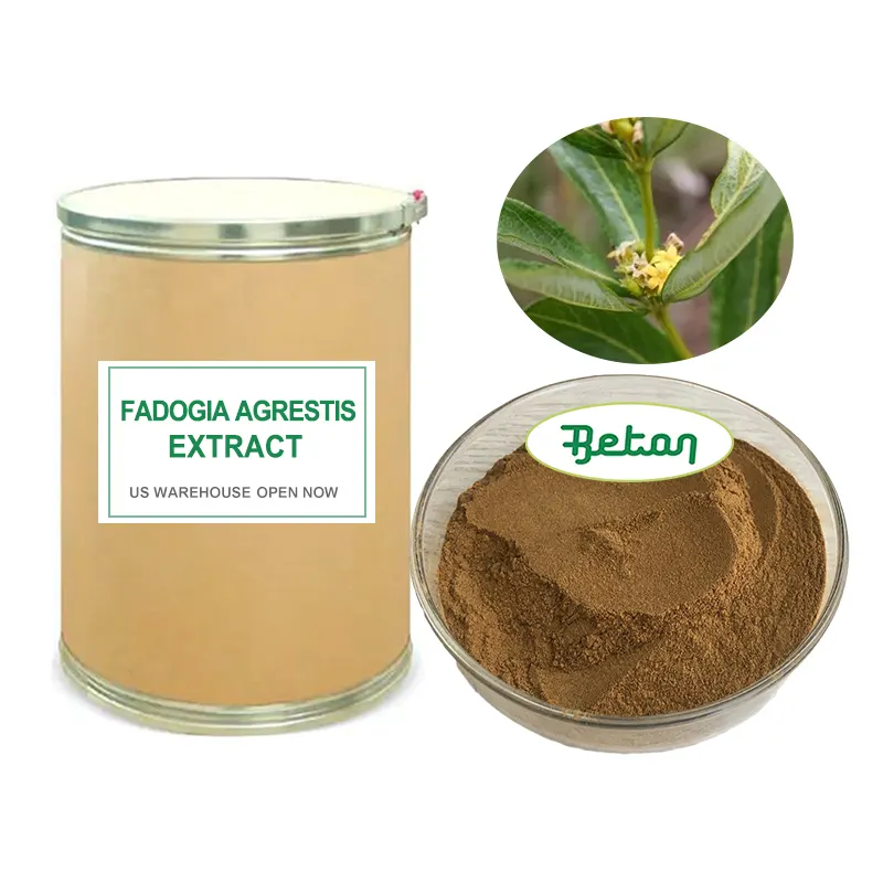 Commercio all'ingrosso integratore di ingredienti Fadogia Agrestis estratto di olio in polvere 10:1 20:1 200:1 ISO 22000