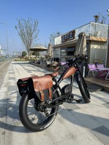 BSKS16 1000W 750W <span class=keywords><strong>Fatbike</strong></span> <span class=keywords><strong>Pro</strong></span> Double Batterie Vélo Électrique <span class=keywords><strong>Fatbike</strong></span> Entrepôt Américain <span class=keywords><strong>26</strong></span>.0x4.0 Pneu Gros Électrique Vélo - Product Image 2