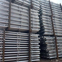 Andamios de Acero Eficientes para Construcción en Exteriores, Solución Moderna Galvanizada en Caliente Todo en Uno, Elevadores y Escaleras