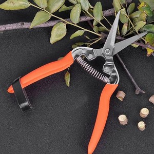 EXPLOIT Herramientas de jardinería Tijeras de <span class=keywords><strong>podar</strong></span> <span class=keywords><strong>para</strong></span> arbustos de flores Rosas <span class=keywords><strong>Árboles</strong></span> frutales Costura utilizada <span class=keywords><strong>para</strong></span> <span class=keywords><strong>podar</strong></span> y cuidar - Product Image 2