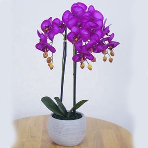 High Quality <b>Artificial</b> Phalaenopsis Orchid Flowers for Home & Wedding Decorations Stylish Stems for Mother's Day & Easter - Product Image 6