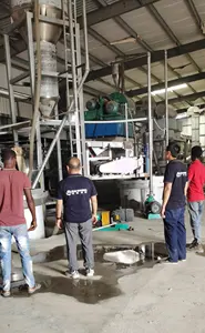 Iodized Iodization Iodizing Iodine Afar Afdera Ethiopia Salt Processing Machine