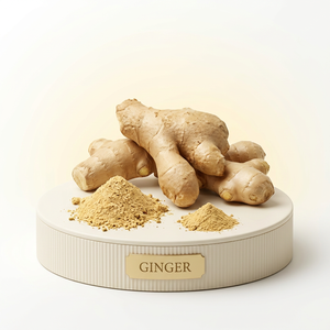 Fabricant d'extrait de gingembre biologique en poudre, extrait naturel de racine de gingembre, vente en gros, OEM, étiquette privée - Product Image 1