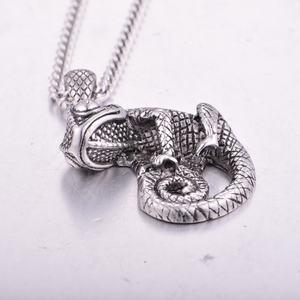 Collares de Camaleón con Diseño Único, Collares Largos Unisex con Forma de Lagarto, Joyería de Acero Inoxidable 316L para Hombre - Product Image 4