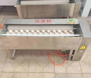 Small Model <b>Egg</b> Cleaning <b>Machine</b> Portable Automatic <b>Egg</b> Washing <b>Machine</b> for Small <b>Egg</b> Processing Shop - Product Image 4