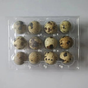 Tùy Chỉnh Chim Cút Khay Trứng Rõ Ràng Thùng Carton Cho 12 Lỗ Nhựa Chim Cút Trứng Thùng Carton Hot Bán Chim Cút Trứng Thùng Carton Khay Chủ Sở Hữu - Product Image 5