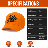 Gorra de Béisbol de Algodón Bordada Personalizada con el Logotipo de la Marca de Restaurante o Cafetería, Ajustable, OEM