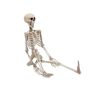 Offre Spéciale géant 5.4 pieds taille réelle <span class=keywords><strong>Halloween</strong></span> squelette Costume surdimensionné en plastique pour les fêtes en gros pour les festivals - Product Image 4