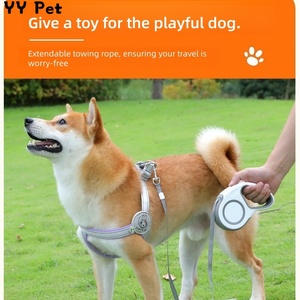 Correa Retráctil Automática para Mascotas, de Nailon Sólido, Simple, Impermeable, para Perros y Gatos Pequeños/Medianos/Grandes, Ajustable - Product Image 4