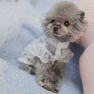 Vêtements pour animaux de compagnie: robe de protection solaire respirante en dentelle pour chats et chiens, bouledogues français, Teddy, Yorkshire, Shih <span class=keywords><strong>Tzu</strong></span>, Corgi, Maltais, - Product Image 3