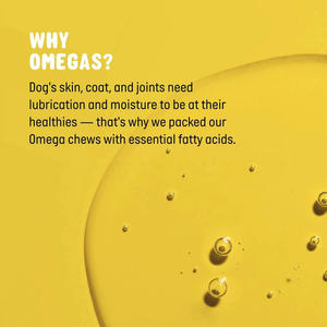 OEM/ODM Suppléments de soins de santé pour animaux de compagnie Manteau de peau de chien à mâcher doux pour prévenir les allergies cutanées Favorise un pelage sain, doux et brillant - Product Image 3