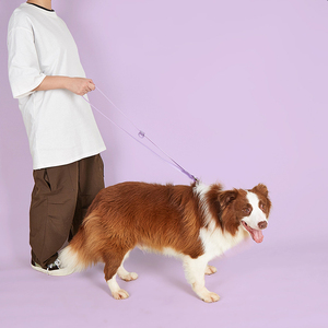 Laisse pour chien Josying, nouvelle conception, mains libres, en PVC, luxe, imperméable, multifonctionnelle - Product Image 5