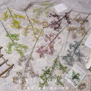 Flores Artificiales de Baby's Breath Yixuan, Ramas de Plástico de 30cm-100cm, Decoraciones para Bodas, Accesorios para Fotos, Arreglos Florales - Product Image 1