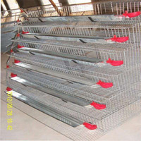 Caille — cage de caille avec batterie, type H, meilleure qualité
