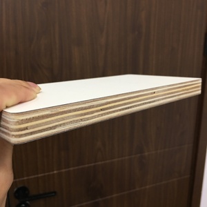 Foglio <span class=keywords><strong>di</strong></span> compensato 4x8 - Product Image 3