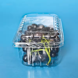 Envase de Plástico PET Reciclable y Económico de 250g para Frutas para Mascotas - Product Image 5