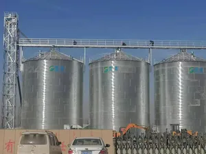 Large Storage Capacity Silos 5000 10000 Ton Wheat Corn Soybeans Cereal Grain Storage Steel Silo Price