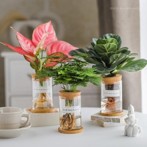Más popularln 2025 tamaño múltiple hidropónico nueva forma desarrollo marco de fotos de madera grande con florero de plantas jarrones decoración <span class=keywords><strong>Maiso</strong></span> - Product Image 6
