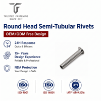 Rivets semi-tubulaires à tête ronde personnalisés TianFang pour prototypes de panneaux automobiles, en acier inoxydable passivé, fourniture OEM ODM